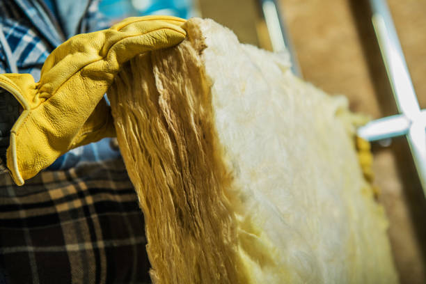 Best Insulation Removal  in , SD