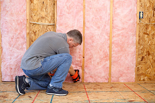 Best Insulation Replacement Services  in , SD